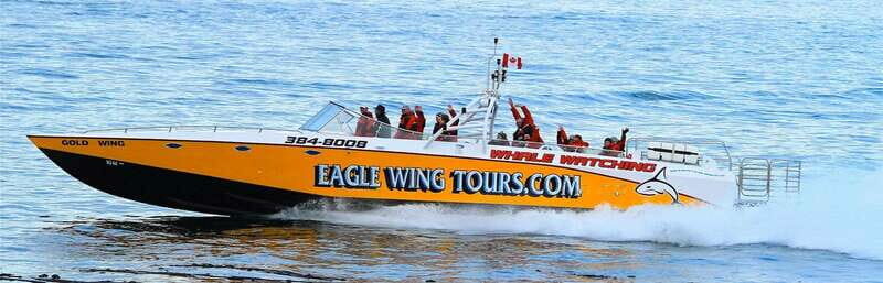 Victoria: Morning Whale-Watching Tour in Scarab Boat - Who Will Love This Tour?