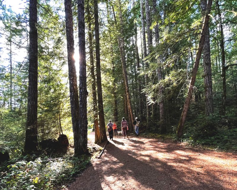 Victoria or Nanaimo; West Coast Big Tree Coastal Adventure - Exploring Harris Creek Giants