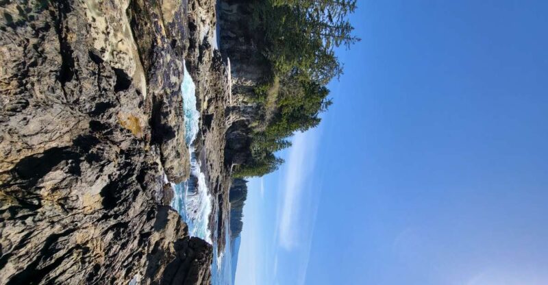 Victoria or Nanaimo; West Coast Big Tree Coastal Adventure - Hiking Botanical Beach Trails