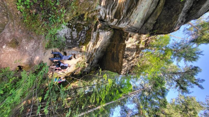 Victoria or Nanaimo; West Coast Big Tree Coastal Adventure - Marveling at Avatar Grove