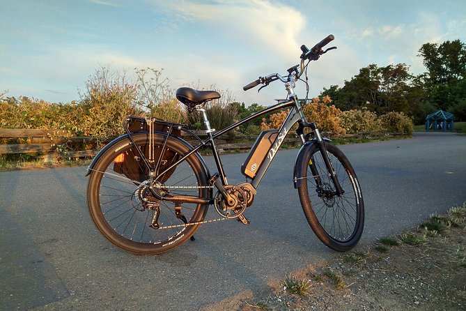 Victoria Pedal Bike Tour for Cruise Guests - Castle Hoods Legends - Weather and Conditions