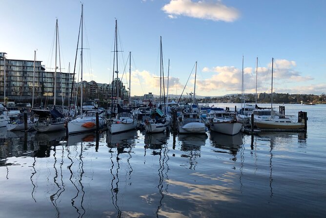 Victoria Scavenger Hunt and City Highlights Walking Tour - Reviews and Ratings of the Tour