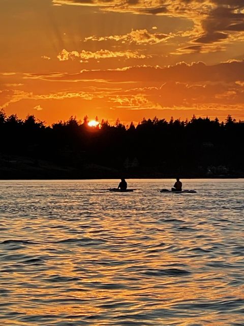Victoria: Secret Beaches and Islands SUP Tour - Tour Experience and Wildlife