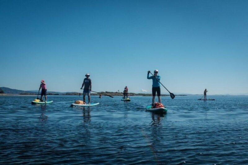 Victoria: Secret Beaches and Islands SUP Tour - Customer Reviews