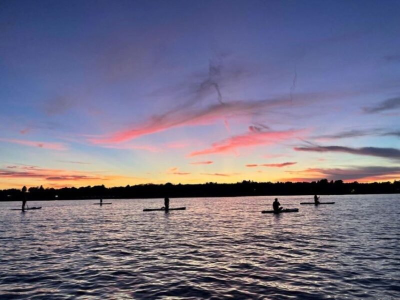 Victoria: Secret Beaches and Islands SUP Tour - Encounter Diverse Marine Life