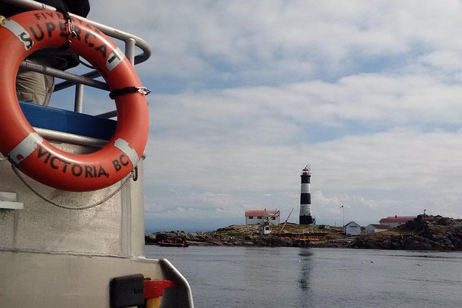 Victoria Shore Excursion: Whale-Watching Cruise With Expert Naturalist Guides - Marine Ecosystem Insights