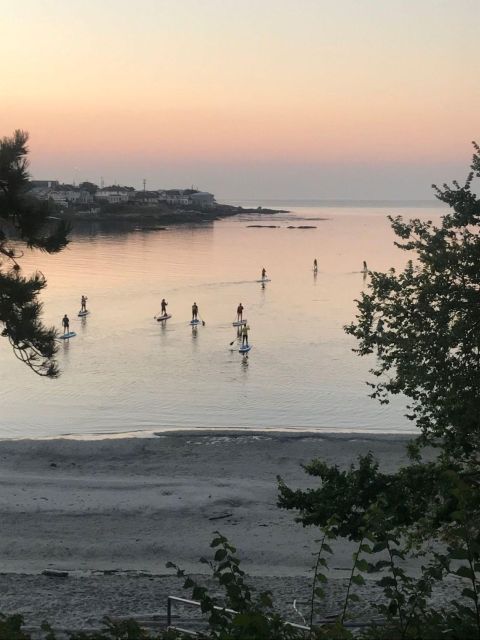 Victoria: Sunrise or Sunset SUP Tour - Group Size and Language