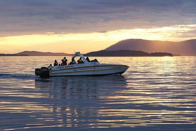 Victoria Sunset Whale-Watching Cruise - A Close Look at the Itinerary