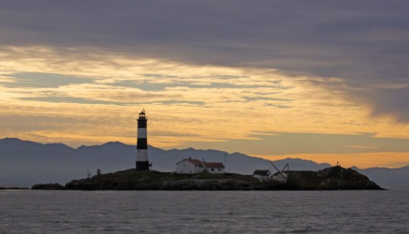 Victoria: Sunset Whale Watching Tour on Semi-Covered Boat - Key Points