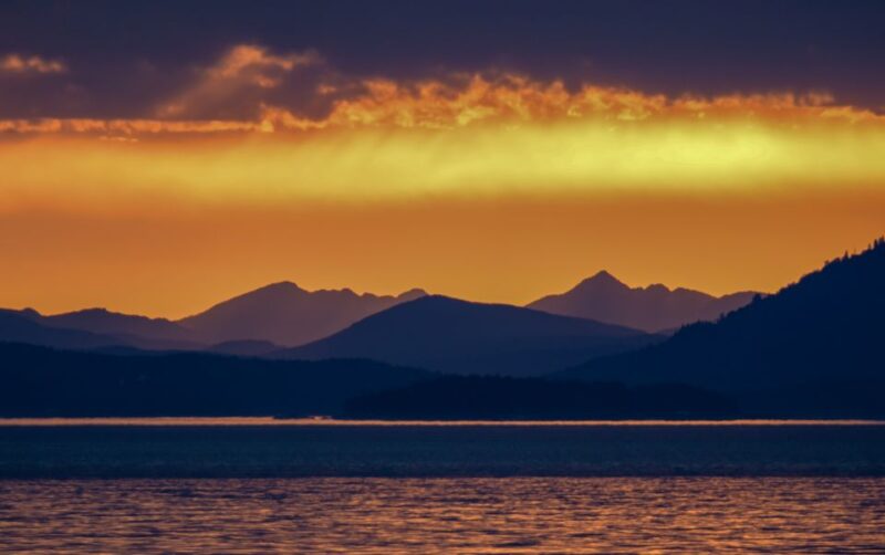 Victoria: Sunset Whale Watching Tour on Semi-Covered Boat - Booking Information