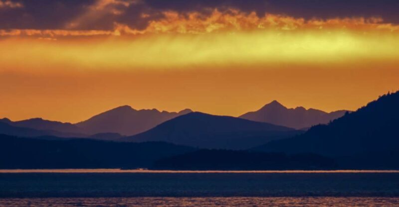 Victoria: Sunset Whale Watching Tour on Semi-Covered Boat - Experience Highlights