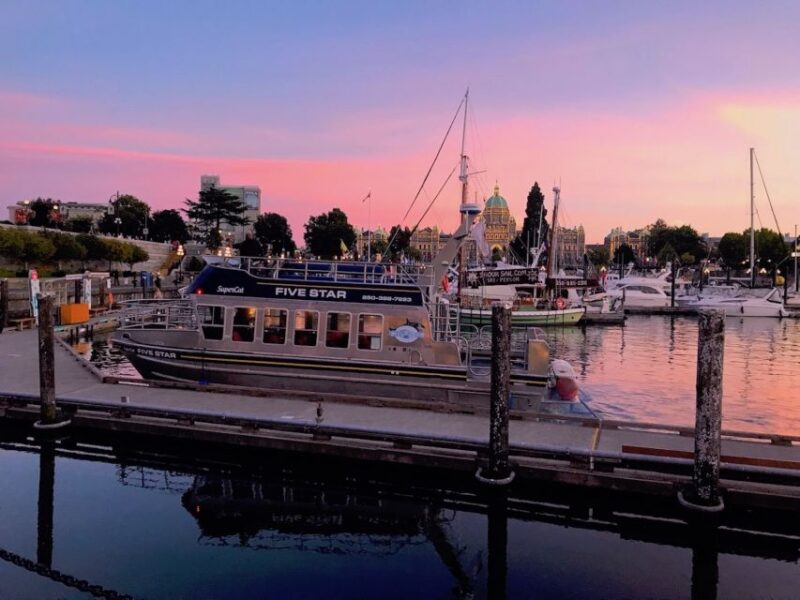 Victoria: Sunset Whale Watching Tour - Inclusions and Restrictions