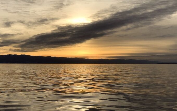 Victoria: Sunset Whale Watching Tour - Booking and Cancellation