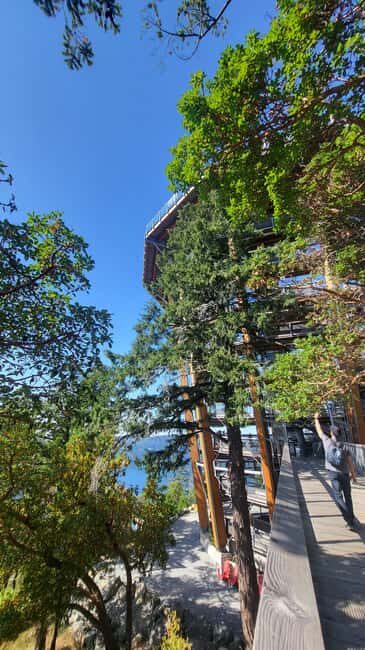 Victoria Waterfall, Skywalk, Beach Picnic, Castle and Whales - Key Points