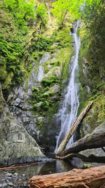 Victoria Waterfall, Skywalk, Beach Picnic, Castle and Whales - An Overview of the Tour Experience