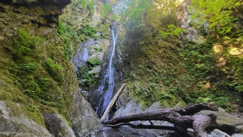 Victoria Waterfall, Skywalk, Beach Picnic, Castle and Whales - Final Thoughts