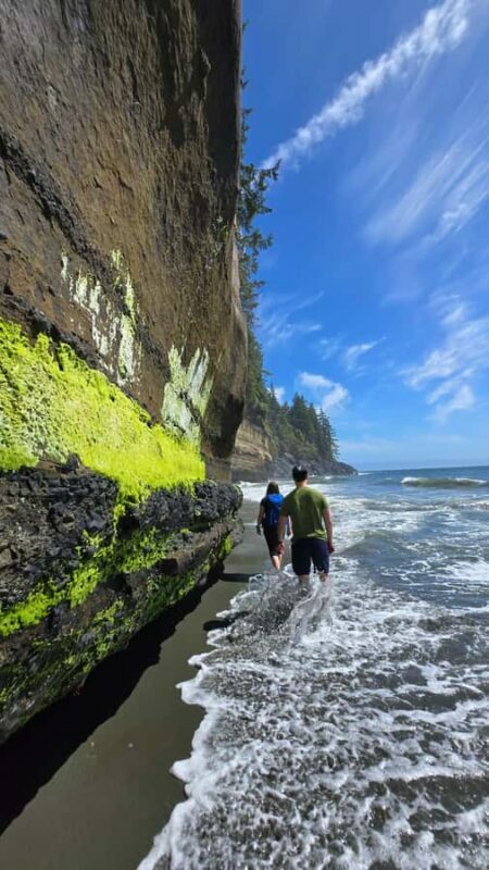 Victoria West Coast Wildlife, Old Growth and Waterfalls - Who Will Love This Tour?