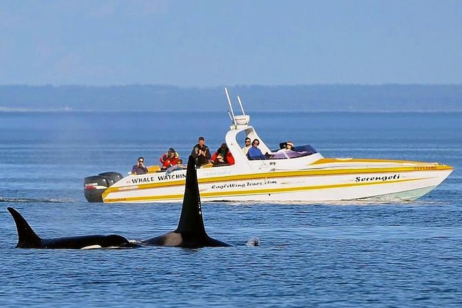 Victoria Whale and Wildlife Cruise - Accessibility and Age Requirements