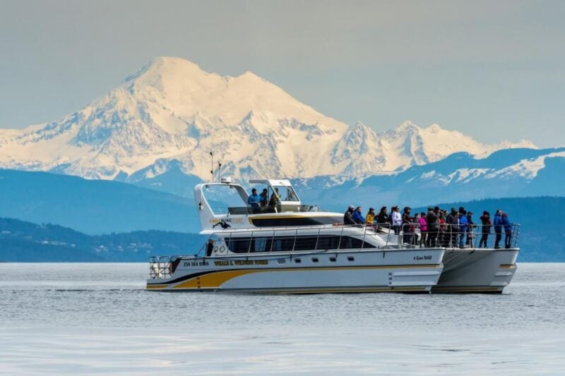 Victoria: Whale and Wildlife Semi-Covered Boating Tour - Personalized Service and Interpretation