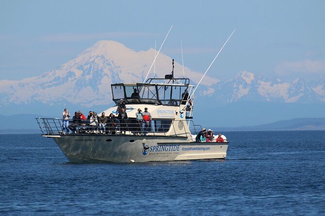 Victoria Whale Watch Tour - Key Points
