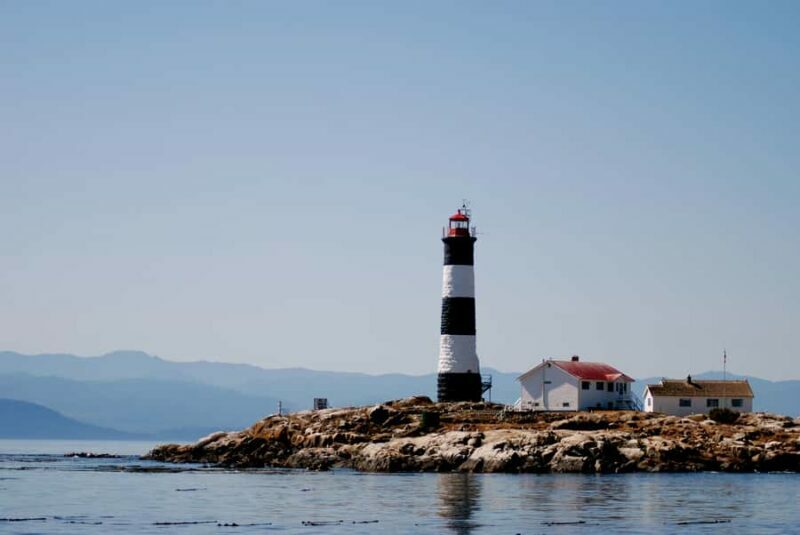 Victoria: Whale Watching Marine Wildlife Excursion Zodiac - Final Thoughts: Is This Tour Right for You?