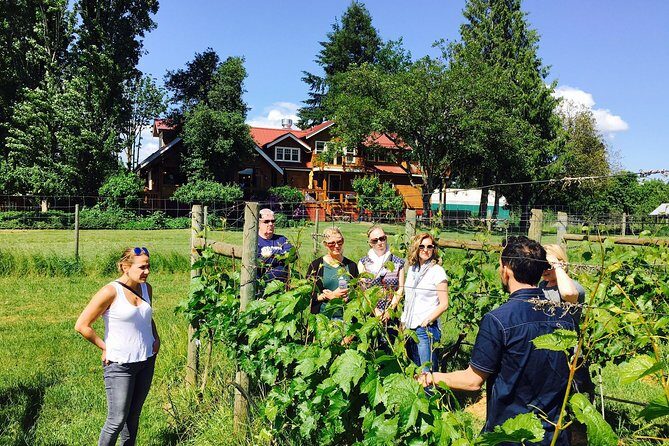 Victoria Wine Tour with Wine Tastings and Charcuterie - An Honest Look at the Experience