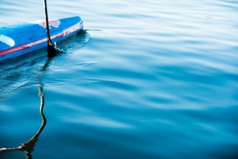 Victoria,BC: Learn to SUP and Tour - Learning Experience