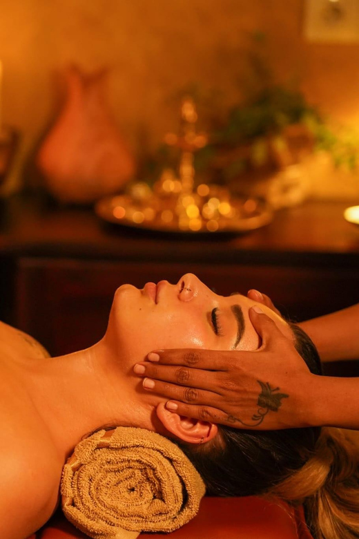 Vienna: 1-Day Ayurveda Retreat in Slovakia With Lunch & Tour - Good To Know