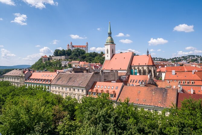 Vienna and Bratislava Private Full-Day Tour From Prague - Transportation and Guides