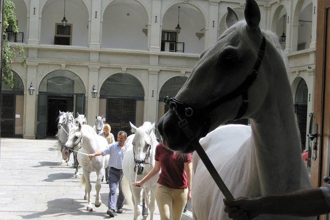 Vienna at First Glance a Private Walking Tour for First Timers - Highly Rated Private Tour