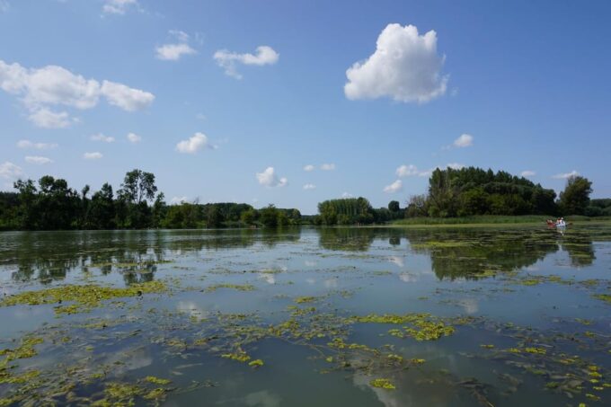 Vienna-Budapest Bike Rental With Delivery & Luggage Transfer - Exploring the Danube Bend Region