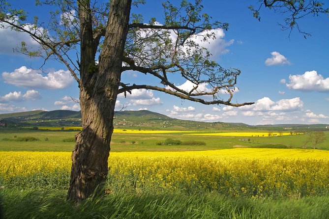 Vienna-Budapest One-Way Sightseeing Transfer - Inclusions and Amenities