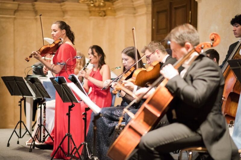 Vienna: Classical Concert at Eschenbach Palace - About the Orchestra