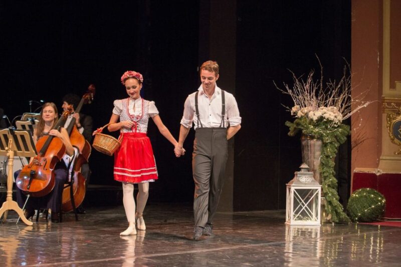 Vienna: Classical Concert at Eschenbach Palace - Eschenbach Palace History