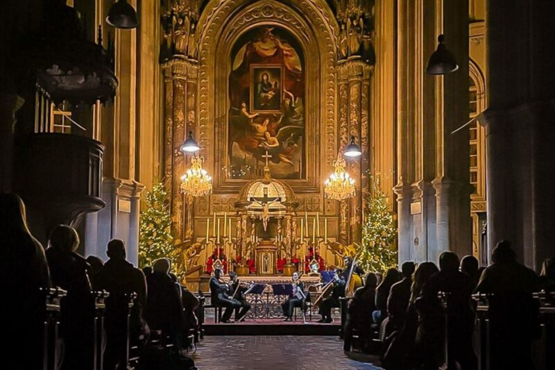 Vienna: Classical Concerts in the Minorite Church - Booking and Accessibility