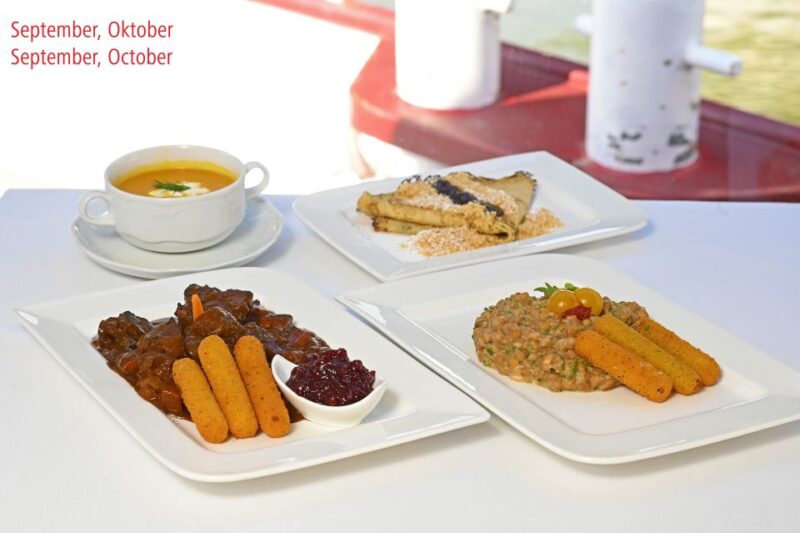 Vienna: Danube River Cruise W/ Optional Viennese Specialties - Key Points