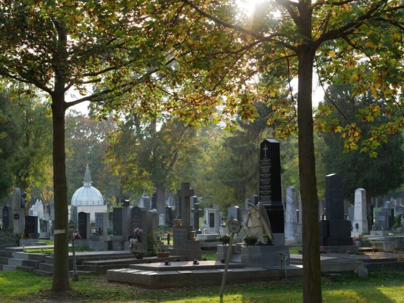 Vienna: Guided Walking Tour of the Central Cemetery - Art Nouveau-style Cemetery Church