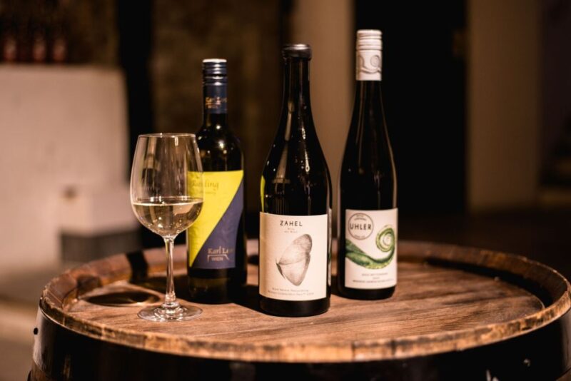 Vienna: Guided Wine Tasting in a Private Wine Cellar - Highlights of the Experience