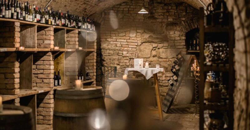 Vienna: Hidden Wine Cellars Tasting Experience - Key Features