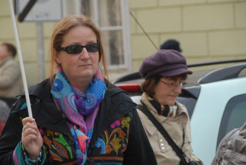 Vienna: Highlight Walking Tour in Downtown - Pricing and Availability