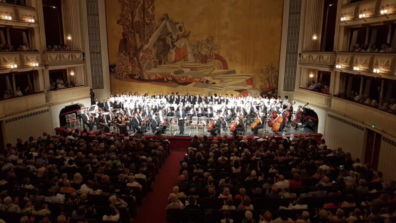 Vienna Hofburg Orchestra Concert at the Vienna State Opera - Good To Know