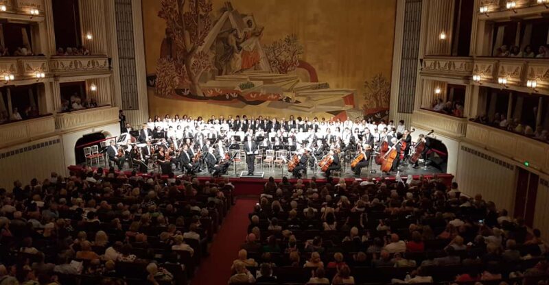 Vienna Hofburg Orchestra Concert at the Vienna State Opera - Price and Duration