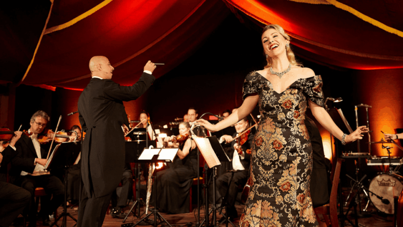 Vienna: Johann Strauss Dinner Show - Music and Entertainment