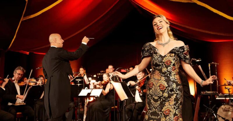 Vienna: Johann Strauss Dinner Show - Accessibility and Transportation