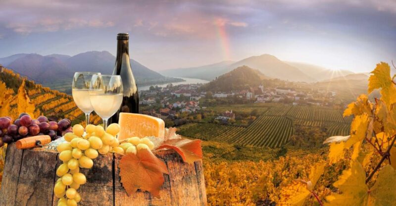 Vienna: Melk, Wachau Wine, Lower Austria Day Trip by Car - Activities at Melk Abbey