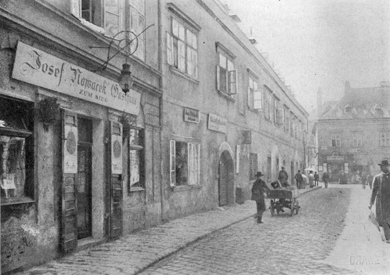 Vienna: Misery and Crime Around 1900 (Walking Tour, English) - Accessibility