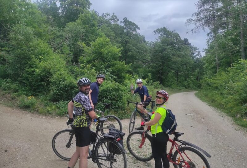 Vienna Mountain Bike Secrets - Discovering Scenic Mountain Biking Trails