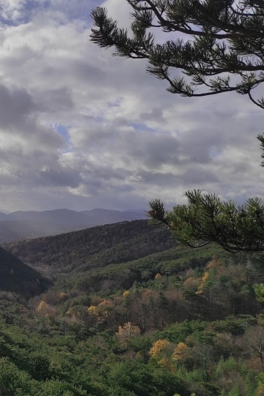 Vienna Mountain Bike Secrets - Suitable for Adventure-Seekers