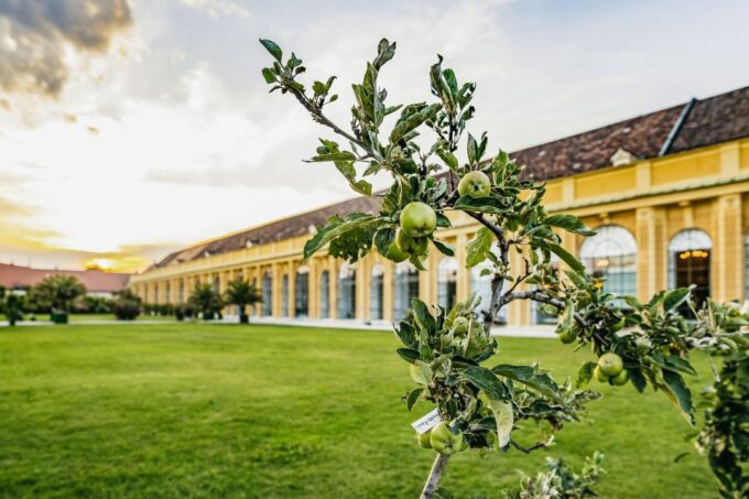 Vienna: Mozart and Strauss Concert in Schoenbrunn - Frequently Asked Questions