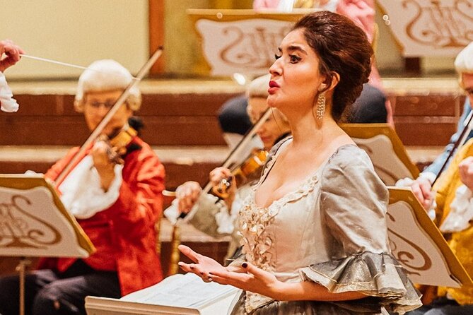Vienna Mozart Concert in Historical Costumes at the Musikverein - Venue and Accessibility Details
